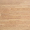 table top ECOLOGY